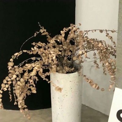 武功福瑞交流群